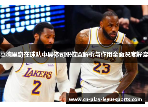 莫德里奇在球队中具体司职位置解析与作用全面深度解读