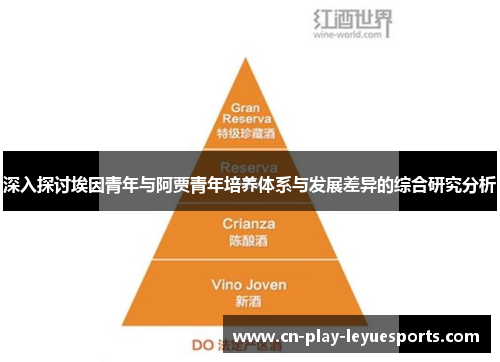 深入探讨埃因青年与阿贾青年培养体系与发展差异的综合研究分析
