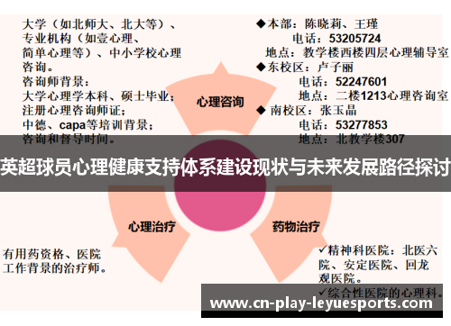 英超球员心理健康支持体系建设现状与未来发展路径探讨