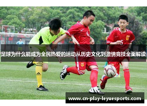 足球为什么能成为全民热爱的运动从历史文化到激情竞技全面解读